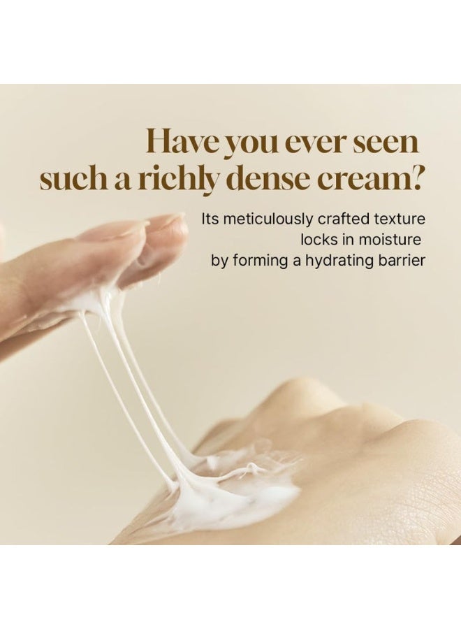 HEVEBLUE Salmon Caring Centella Cream - Salmon PDRN, Salmon Egg Extract, Centella, Madecassoside, Improve Skin Moisture Loss, Restore and Rejuvenate, Low Irritation, Korean Skincare, Valentine Gift - Image 4